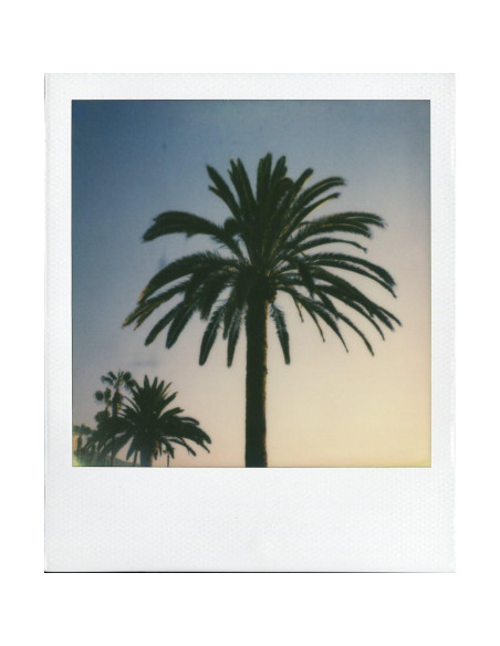 Cámara Polaroid 600 Square Negra One Step PRD541