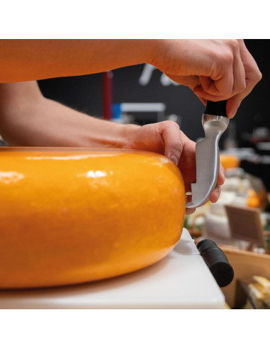 Cuchillo de Marcado de Queso BOSKA Pro 18cm Acero Inoxidable