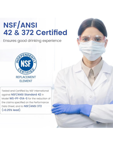 Filtro de Reemplazo Waterspecialist WS-PF-01A para Jarras