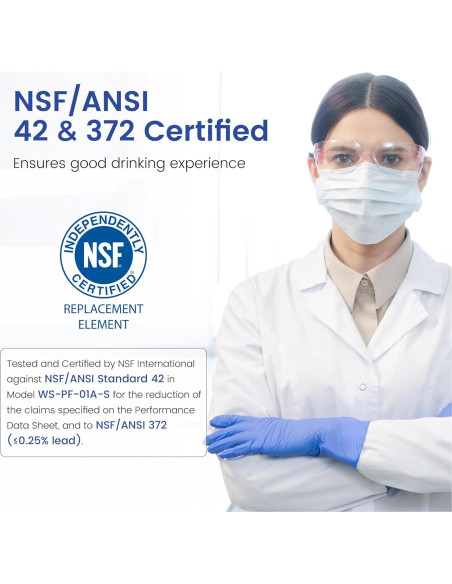 Filtro de Reemplazo Waterspecialist WS-PF-01A para Jarras