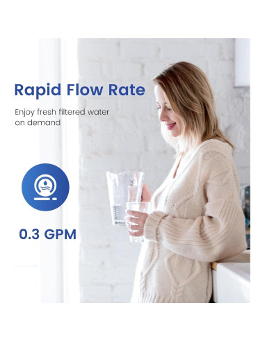 Filtro de Reemplazo Waterspecialist WS-PF-01A para Jarras