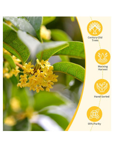 Té de Flor de Osmanthus Natural Wanhua Hall 50g - Aroma Rico 2