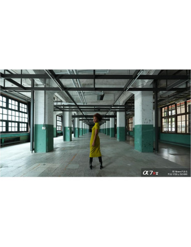 Objetivo Gran Angular Sony FE 16mm f/1.8 G - 304g