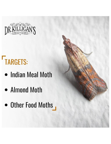 Trampas de Polilla de Alacena Dr. Killigan - 6 Unidades, Negro