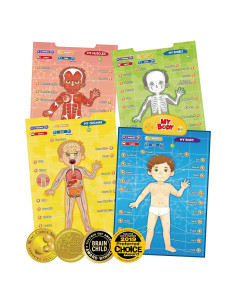 i-Poster Mi Cuerpo - Juego Educativo Interactivo de Anatomía