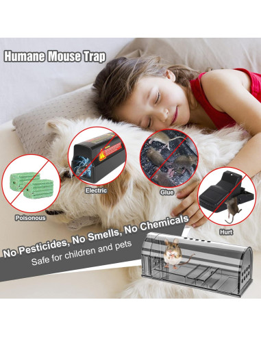 Trampas humanas para ratones Wanqueen - 4 unidades reutilizables