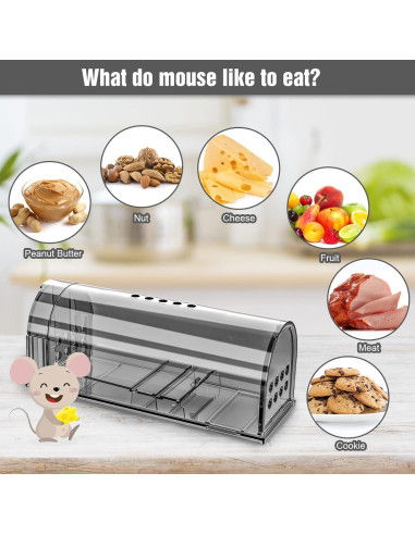 Trampas humanas para ratones Wanqueen - 4 unidades reutilizables