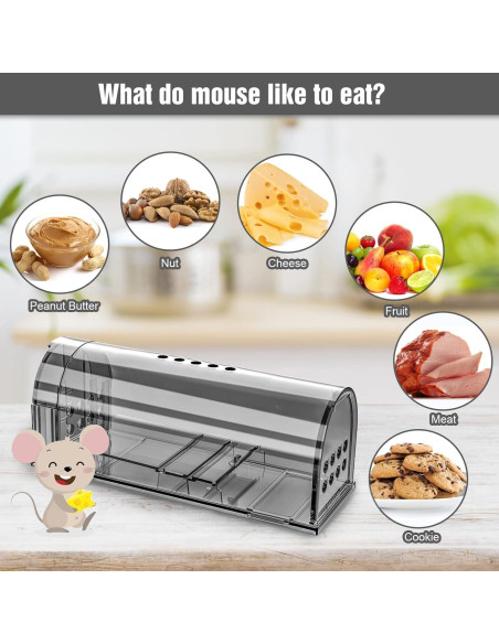 Trampas humanas para ratones Wanqueen - 4 unidades reutilizables