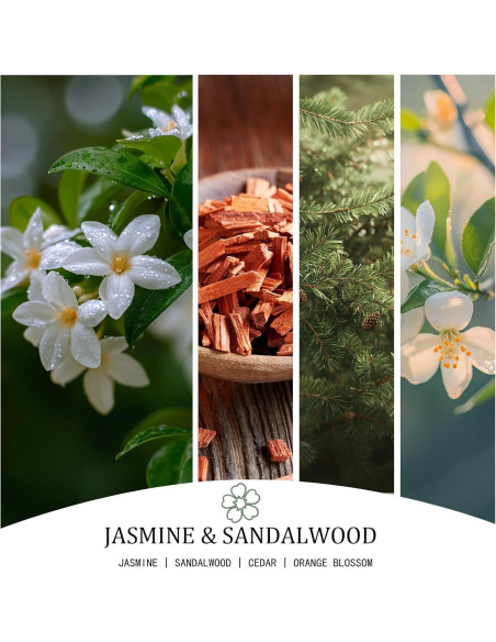 Vela Aromática Grande 30oz Soja Natural 4 Mechas Jazmín y Sándalo