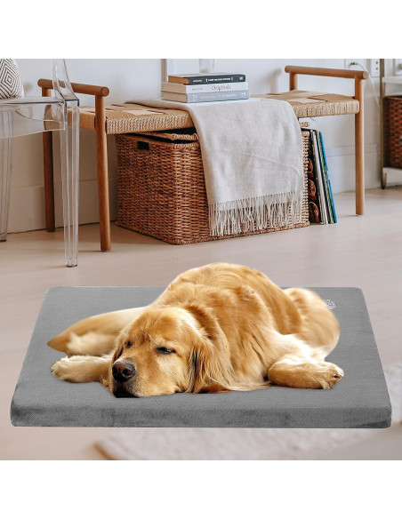 Colchoneta para Perros EMPSIGN XXL Reversible Impermeable 47x29cm