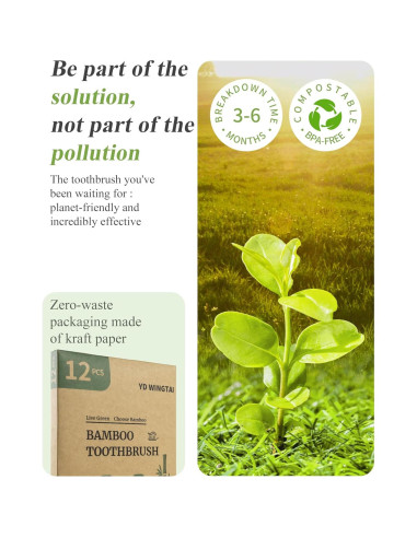 Cepillos de Dientes de Bambú YD WINGTAI Paquete de 12 Biodegradables