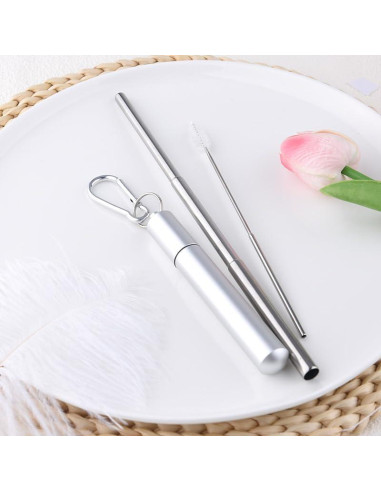 Popotes Plegables Reutilizables Sisadodo con Estuche y Cepillo