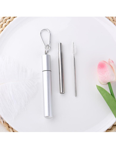 Popotes Plegables Reutilizables Sisadodo con Estuche y Cepillo