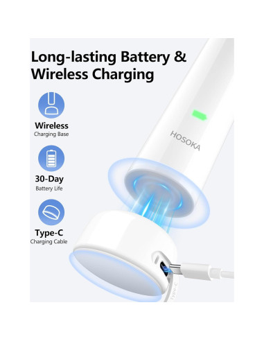Cepillo de Dientes Eléctrico HOSOKA Sonic 60 Recargable IPX7