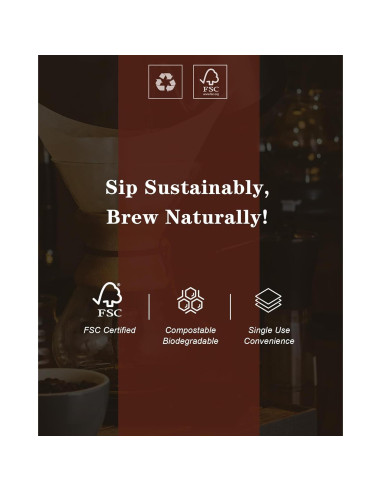 Filtros de café Brew Choice Chemex 100 unidades preplegados