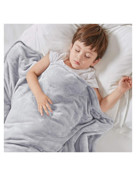 Manta con Peso Grados de Comodidad 91x122 cm Gris con Funda