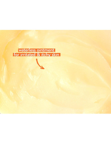 Ungüento Curativo Babo Botanicals 99% Orgánico para Bebés 113g