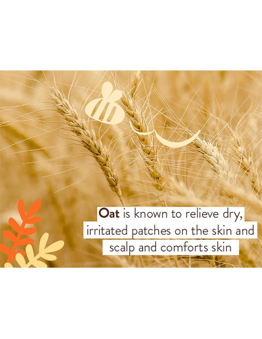 Ungüento Curativo Babo Botanicals 99% Orgánico para Bebés 113g