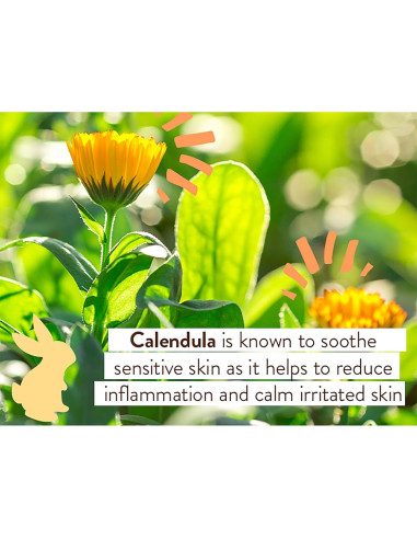 Ungüento Curativo Babo Botanicals 99% Orgánico para Bebés 113g