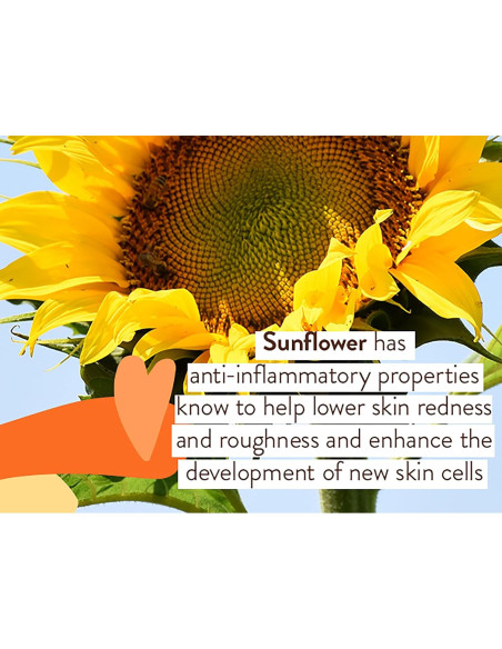 Ungüento Curativo Babo Botanicals 99% Orgánico para Bebés 113g