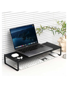 Soporte de Monitor Ajustable PHAETHORNIS GUY Negro 1.11kg