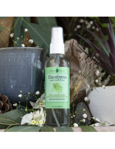 Spray Refrescante de Eucalipto Positive Essence 141.75g 2