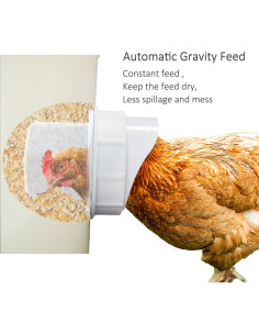 Kit Alimentador de Pollos Suplklz 4 Puertos A Prueba de Lluvia 2