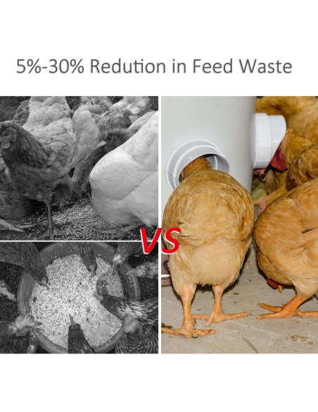 Kit Alimentador de Pollos Suplklz 4 Puertos A Prueba de Lluvia