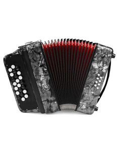 Acordeón Rowadtim MI-88-5 22 Teclas 8 Bajos Gris