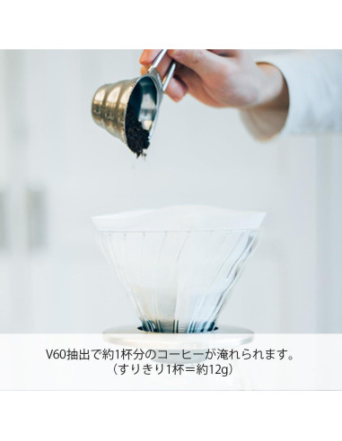 Cuchara Medidora Hario V60 Acero Inoxidable 12g Plata