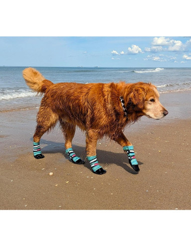 Botas Protectoras para Perros Bark Brite Medianas Turquesa