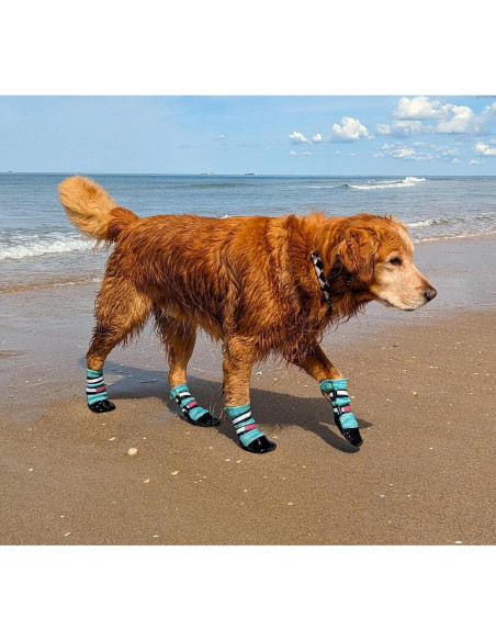 Botas Protectoras para Perros Bark Brite Medianas Turquesa