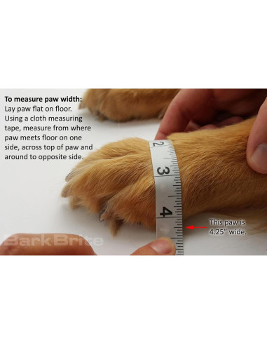 Botas Protectoras para Perros Bark Brite Medianas Turquesa