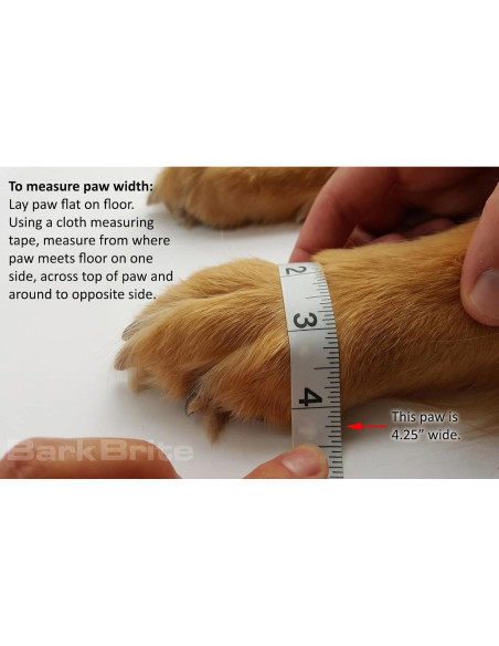 Botas Protectoras para Perros Bark Brite Medianas Turquesa