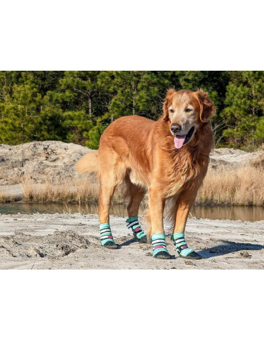 Botas Protectoras para Perros Bark Brite Medianas Turquesa