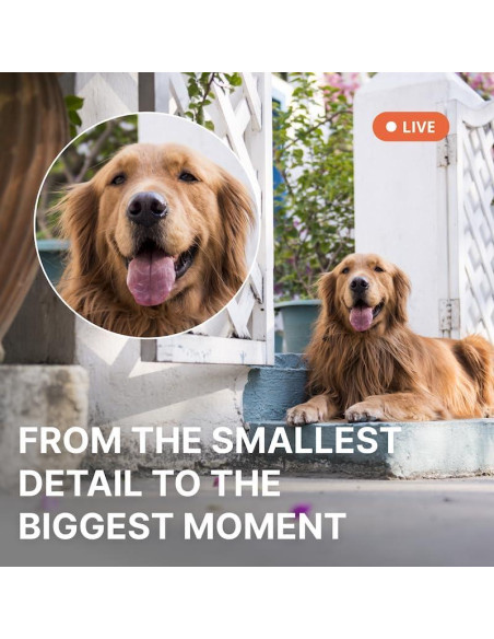 Cámara de Seguridad Inteligente AlfredCam Plus 2.5K WiFi IP65