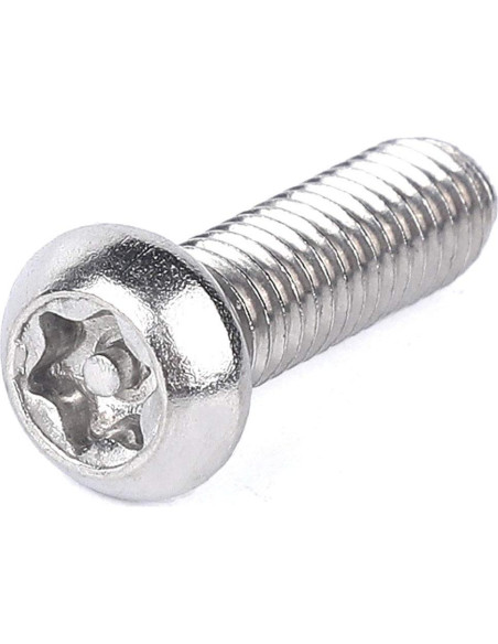 Tornillos de Seguridad Antirrobo Torx Acero Inoxidable M6x20mm 20Pcs
