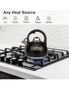 Hervidor de Té LUXGRACE Acero Inoxidable 2.9 Litros Negro 2