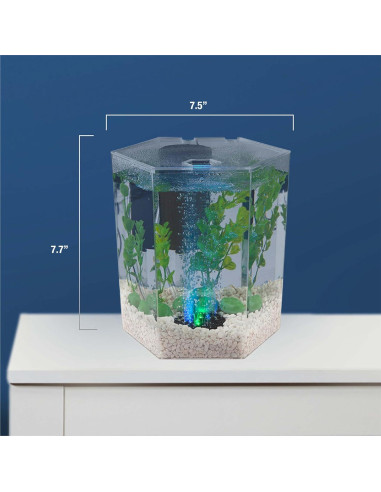Kit Acuario LED Burbujeante Tetra 1 Galón Hexagonal