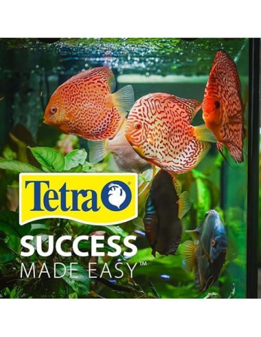 Kit Acuario LED Burbujeante Tetra 1 Galón Hexagonal
