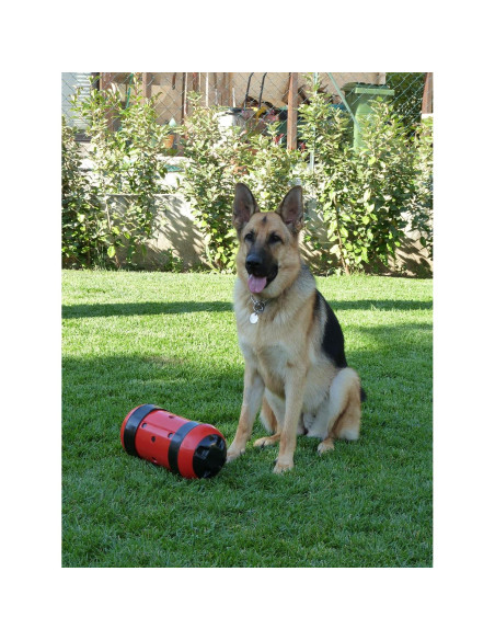 Juguete de Alimentación Pipolino XL para Perros y Equinos