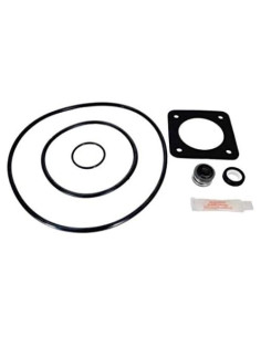 Kit de Mantenimiento Aladdin GOKIT54 para Sta-Rite DuraGlas