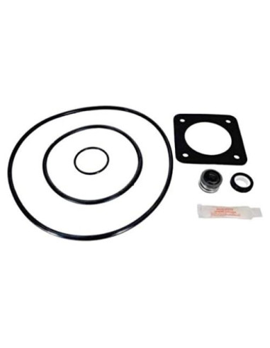 Kit de Mantenimiento Aladdin GOKIT54 para Sta-Rite DuraGlas