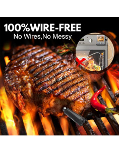 Termómetro de Carne Inalámbrico BloomNest 2 Probes Bluetooth 200m 2