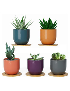 Set de 5 Macetas de Cerámica Bon Decor 6.35 cm con Posavasos
