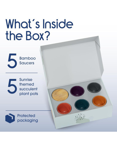 Set de 5 Macetas de Cerámica Bon Decor 6.35 cm con Posavasos