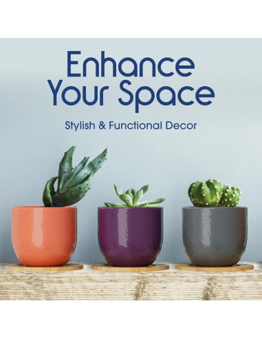 Set de 5 Macetas de Cerámica Bon Decor 6.35 cm con Posavasos