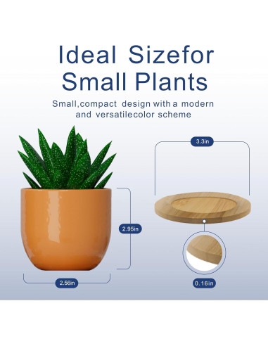 Set de 5 Macetas de Cerámica Bon Decor 6.35 cm con Posavasos