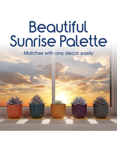 Set de 5 Macetas de Cerámica Bon Decor 6.35 cm con Posavasos