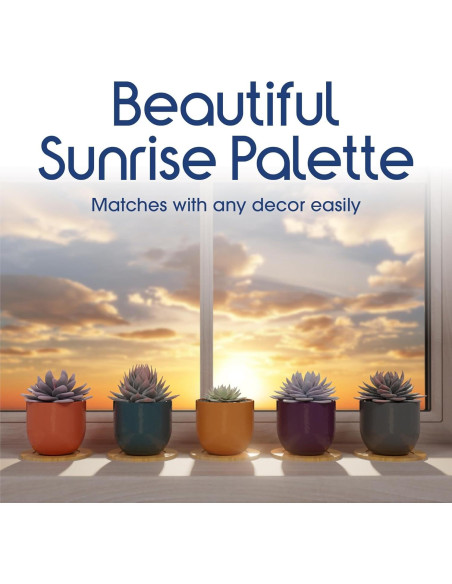 Set de 5 Macetas de Cerámica Bon Decor 6.35 cm con Posavasos